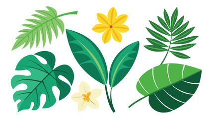 Tropical leaves. Cartoon jungle exotic palm plants and flowers. Banana, philodendron, plumeria, monstera leaf isolated on white background. Floral element vector set 