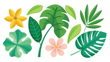 Tropical leaves. Cartoon jungle exotic palm plants and flowers. Banana, philodendron, plumeria, monstera leaf isolated on white background. Floral element vector set  © Tanvir