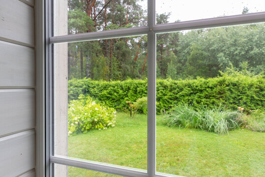 Water Droplets on a Pane of Glass with Blurred Garden Background. Close up of Raindrops on a Window. Green Trees Out of Focus.