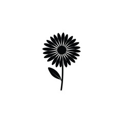 vector drawing beautiful daisy flower with leaf