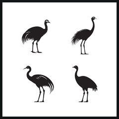 Black silhouette set of a Emu animal vector illustration