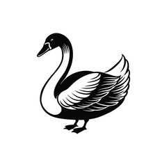 Berwick swan silhouette vector art illustrator isolated on white background