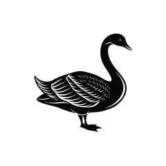 Berwick swan silhouette vector art illustrator isolated on white background
