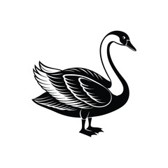 Berwick swan silhouette vector art illustrator isolated on white background