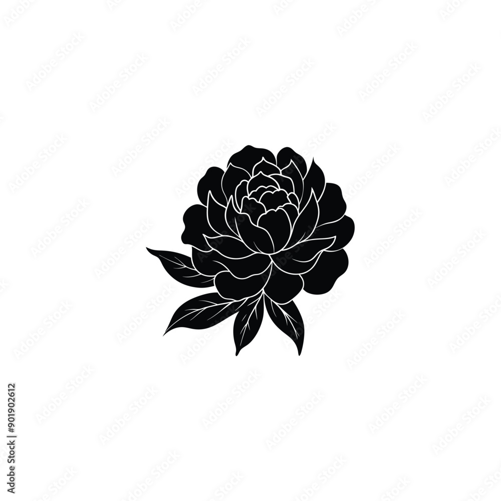 Poster peony flower