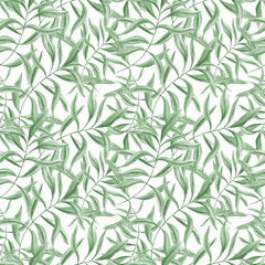 Green leaf branches. Seamless pattern of olive leaves. Oleander twigs. Tropical botanical ornate. Watercolor illustration of summer greenery. Floral design for room decor, textile, scrapbook