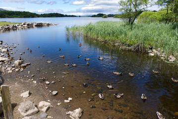 Killarney, Ireland - Lough Leane