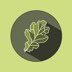 The original logo of a common oak leaf in a circle with shadows. Icon in green shades. Ecological design. Summer mood.