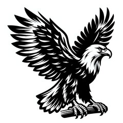 eagle vector illustration