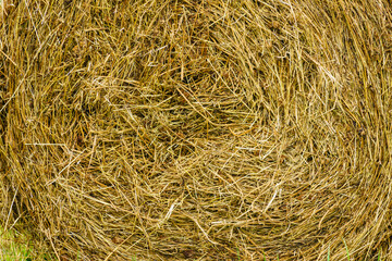 Bale of hay as background