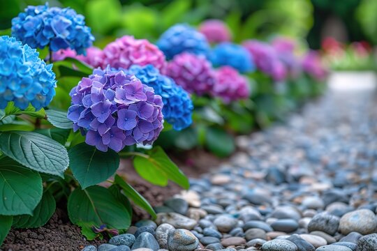 A row of blue and purple flowers are planted in a garden
