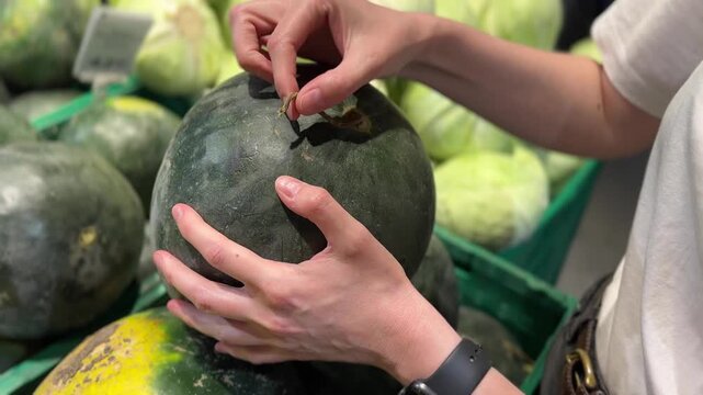 A person holding a large watermelon with a patch of yellow in a grocery store. 