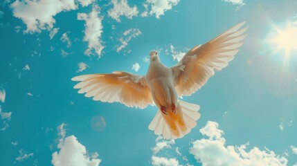 Obraz premium White bird in flight