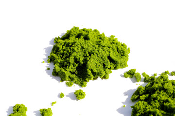 Obraz premium Wolffia globosa or swamp algae, water meal
