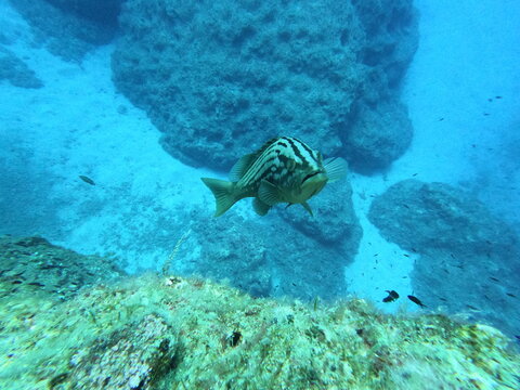DCIM\102GOPRO\GOPR0055.JPG