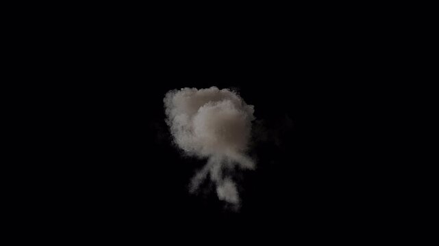 Explosion with fire and smoke, 4k 30p with alpha channel for transparency. Three speeds, including slow motion so you can adjust the speed.