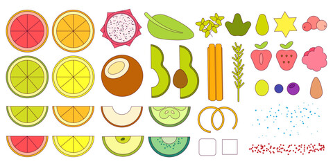 Fruits and berries big set. Vector flat illustration with outline isolated, editable stroke. Natural tropical fruits for design. Organic, vegetarian food. Healthy nutrition. Set of parts for cocktails