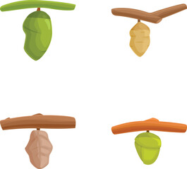 Digital illustration depicting various stages of cocoon metamorphosis, isolated on white background
