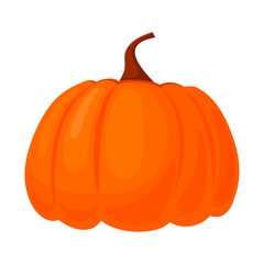 Ripe pumpkin isolated on white background. An autumn vegetable. Design element for Halloween, Thanksgiving, harvest festival. Diet vegetable. Vector illustration.