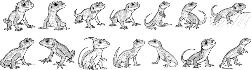 Lizard hand drawing coloring page and outline vector design