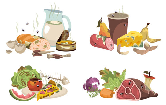 Rotten food scenes. Expired products compositions, moldy vegetables, fruits, meat and milk. Compost materials, decomposing organic matter, cartoon flat style isolated tidy vector set