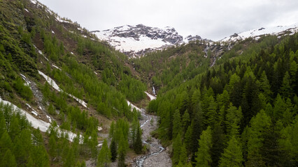 Stunning Alpine Valley With Flowing Stream Surrounded By Lush Pine Trees Under Snow-Capped Mountains