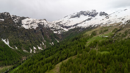 Fototapeta premium Majestic Snow-Capped Mountains Overlooking Lush Green Forests During Early Spring in the Alpine Region
