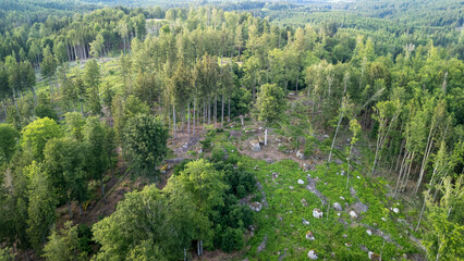 Aerial View of a Forested Area Showing Logging Activity and Tree Regrowth in Summer