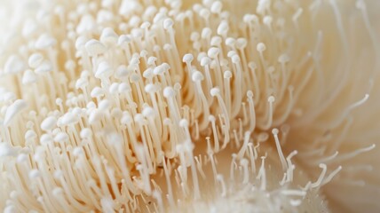 Close-up of delicate white enoki mushrooms, showcasing intricate textures and natural beauty.