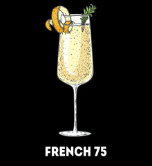 French 75 cocktail illustration. Hand drawn sketch. Vector illustration. Isolated object.
