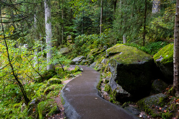 Fototapeta premium Scenic trail along Triberg water falls in Bavaria, Germany