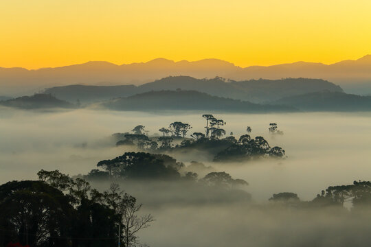 Amanhecer na montanha