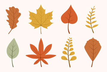 Autumn leaf vector set. Hand drawn various fallen leaves isolated. Colorful flat illustration of autumn decorative elements for seasonal holiday greeting card design. Colored vector illustration