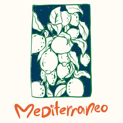 Vector lemon tree print with Mediterranean lettering. Hand-drawn fresh linear fruits isolated on white background. Tasty food illustration for design, print, fabric or background.