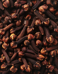 Obraz premium a lots&nbsp;clove plant pattern texture background.