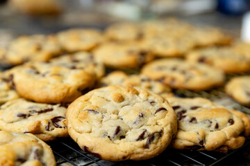 Close up of fresh batch of homemade chocolate chip cookies, selective focus.