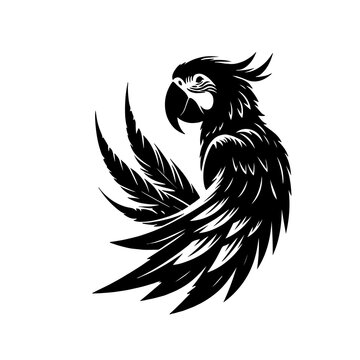 recommend clip art: macaw bird silhouette vector style art