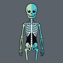 Hauntingly beautiful human skeleton illustration for digital art, vector, cartoon, clipart, and line art designs.