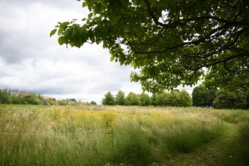 Fototapeta premium Colorful Field on a Gray Day in London