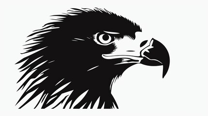 Golden eagle hawk. Portrait of a bird of prey photography