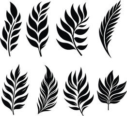  Leaf silhouette black and white  vector 