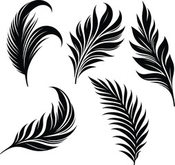  Leaf silhouette black and white  vector 