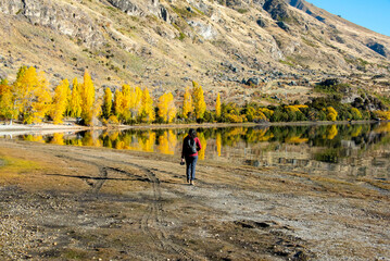 Glendhu Bay in Lake Wanaka - New Zealand