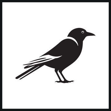 recommend clip art: Magpie Bird vector silhouette Illustration
