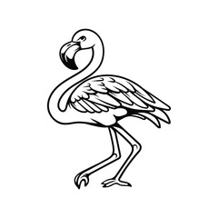 drawing line art of flamingo hand drawn coloring cartoon illustration design