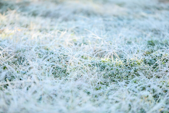A thick layer of frost on the grass on a cold winter morning