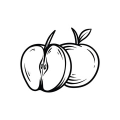 two apples drawing coloring line art style sketch classic vintage design illustration