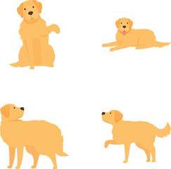 Collection of cute cartoon labrador retrievers in different poses, isolated on a white background