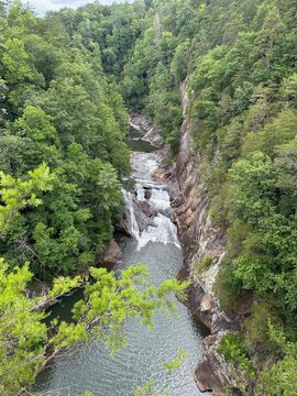mountain river in the forest