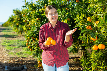 Portrait of a confident young woman farmer with tangerines in her hands in a fruit nursery during harvest